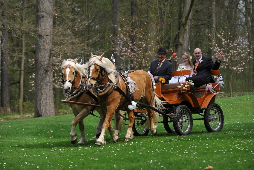 Svatební fotograf Vlašim