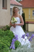Svatby Ledeč nad Sázavou - kostel sv. Petra a Pavla